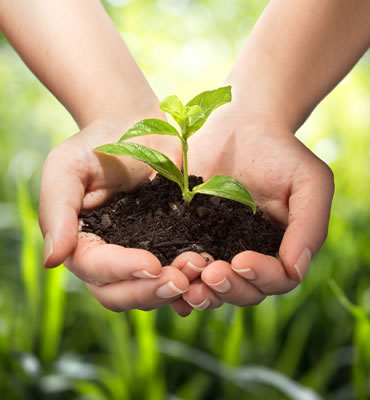 Responsabilidade Socioambiental - GR Serviços Industriais